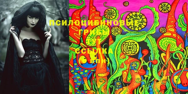 метадон Алексин