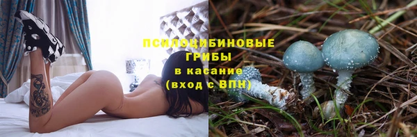 прущий лед Алексеевка