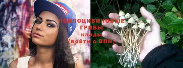 прущий лед Алексеевка
